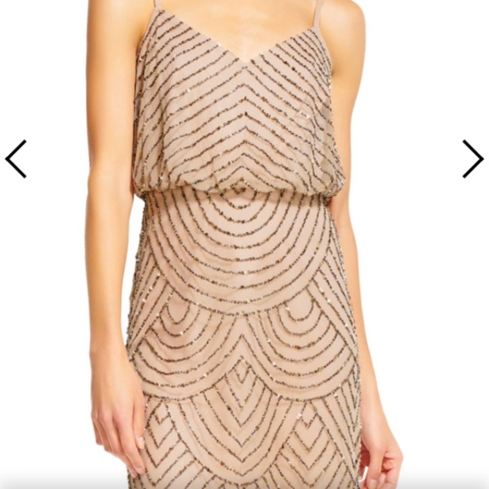 Adrianna Papell ~ sequin blouson dress ~ worn once